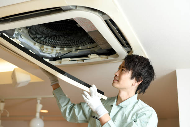 Best Affordable Duct Cleaning Services  in Lyles, TN